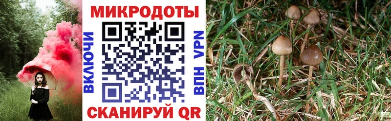 Купить закладки  Можга  Псилоцибиновые грибы мухоморы 